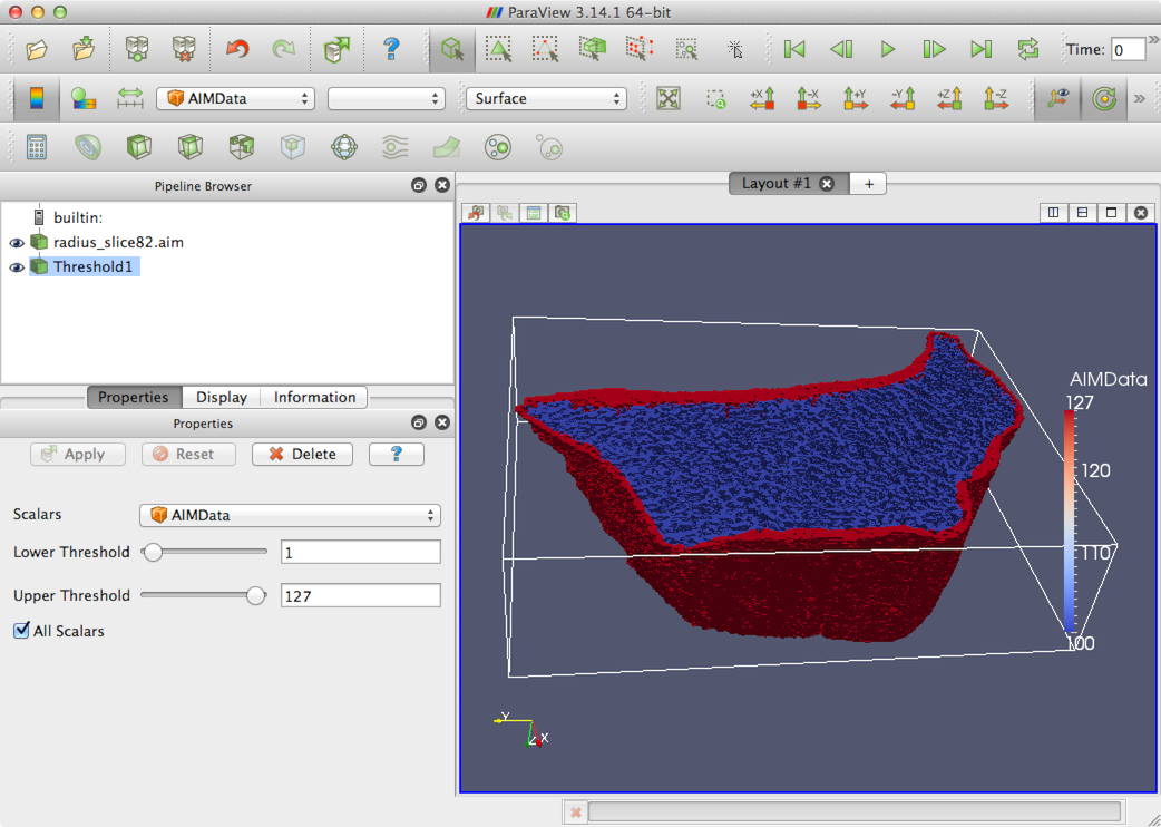 radius slice image